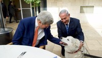 Kaia mati pada Minggu (25/2) lalu. (Foto: Dok. Matty Stern/U.S. Embassy Tel Aviv via The New York Times)