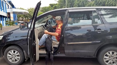 Foto: Ian Bule Luntang-lantung Bawa Anjing Saat Dipindah ke Jakpus
