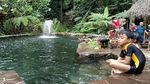 Foto: Weekend di Banyuwangi, Bisa Makan Durian di Bawah Pohon