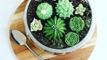 Keren! Cake Ini Dibentuk Seperti Kaktus dan Sukulen Asli!