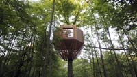 Inilah Cabane Spa Origin, rumah pohon keren yang bisa disewa traveler di tengah hutan Prancis. Sebagai akses, rumah pohon ini dilengkapi jembatan kayu. (dok. Atelier Lavit)