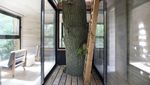 Foto: Rumah Pohon Keren di Tengah Hutan