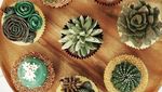 Keren! Cake Ini Dibentuk Seperti Kaktus dan Sukulen Asli!