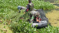 Pangdam III/Siliwangi Mayjen Doni Munardo yang melihat hal ini lalu mengambil sikap.  Ini tidak boleh dibiarkan Prajurit Maung Siliwangi harus segera memperbaiki dan menjaga Situ Cisanti, karena air adalah sumber kehidupan, kata Mayjen Doni.