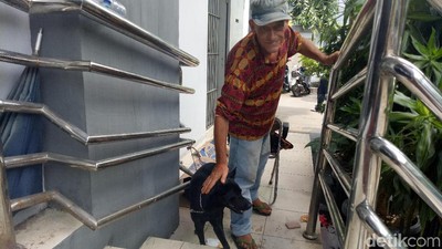 Foto: Obey, Anjing yang Setia Temani Ian Bule Luntang-lantung