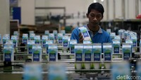 Pabrik ini mempunyai kapasitas produksi 70 juta liter susu per tahun.