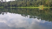 Pantulan pemandangan sekitarnya juga bisa terlihat di Situ Cisanti.