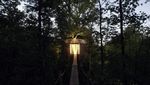 Foto: Rumah Pohon Keren di Tengah Hutan