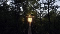 Rumah pohon ini bisa diinapi traveler. Harga per malamnya, US$290 (setara Rp 3,9 juta). (dok. Atelier Lavit)