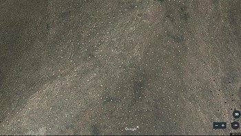 Pola polkadot di Arizona, AS ini merupakan gundukan sarang dari semut bernama ilmiah Pogonomyrmex barbatus. Foto: istimewa