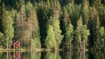Foto: Negara di Eropa yang Nama Aslinya Suomi