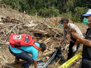 Bersihkan Kebun, Pekerja Temukan Kerangka Manusia di Sumsel