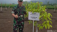 Pangdam Siliwangi Mayjen TNI Doni Monardo menggalakkan pembersihan sungai citarum dengan membersihkan sampah, tumbuhan liar, dan menggalakkan penghijauan. Foto: Istimewa