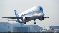 Pesawat tersebut merupakan salah satu buatan dari perusahaan produsen pesawat Airbus asal Prancis (CNN Travel)