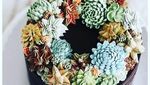 Keren! Cake Ini Dibentuk Seperti Kaktus dan Sukulen Asli!