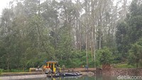 Suasana yang masih sangat asri, pohon-pohon hijau di sepanjang hulu Citarum membuat suasana sangat nyaman. Foto: Istimewa