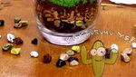 Keren! Cake Ini Dibentuk Seperti Kaktus dan Sukulen Asli!