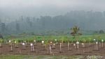 Foto: Hijaunya Hulu Sungai Citarum