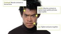 Jawabannya adalah marah. Karakteristik ekspresi marah dapat dilihat dari kontraksi otot pada alis, kelopak mata, dan bibir bagian atas. (Foto: greatergood.berkeley.edu)