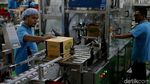 Melihat Pabrik Susu Modern di Malang
