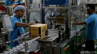 Total investasi untuk pabrik ini mencapai Rp 335 miliar.