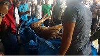 Di kasus lain lagi, satu orang dilaporkan terluka. Pada 16 Februari, seorang warga bernama Arkat (48) digigt harimau, mengalami luka gigtan di bawah lutut sebanyak tiga titik. Dia digigit harimau karena berburu siluman harimau, yang ternyata harimau betulan. (resi erlangga)