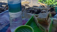 Berada di Pura Goa Lawah, Andrew White terlihat sedang menikmati makan siang buatan sang istri. So sweet! Foto: Instagram @andrew.white._