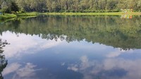 Setelah menuruni anak tangga, pemandangan air situ yang berwarna hijau bening langsung menyambut dan membuat sejuk mata yang memandang