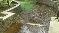 Kondisinya mengenaskan. Sampah plastik dapat dilihat di seluruh kawasan danau