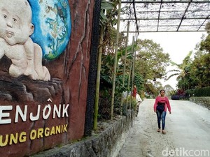 Begini Awal Mulanya Kampung Organik Brenjonk Dirintis