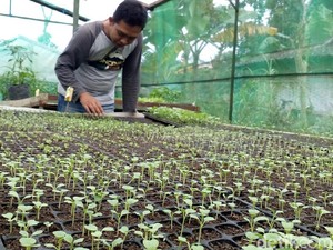 Mengenal Brenjonk, Kampung Organik di Lereng Gunung Mojokerto
