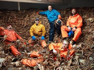 Miliaran Kepiting Salju Alaska Menghilang Misterius, Panen Raya Dibatalkan