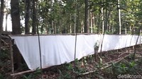 Ketua RT setempat, Madrohim menyebut pemasangan kain kafan menunjukkan adanya makam keramat di lokasi itu.