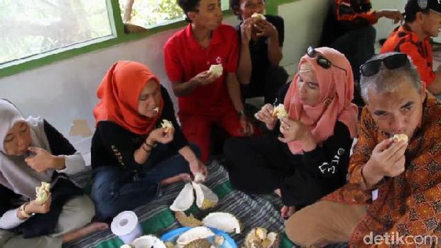 Kebun buah durian di Desa Rajawetan, Brebes.