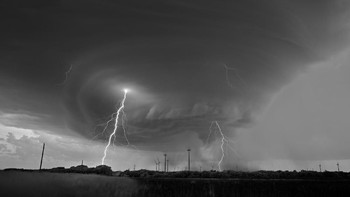 Finalis kompetisi profesional kategori Natural World & Wildlife - Mitch Dobrowner dari Inggris. Foto: Sony World Photography Award