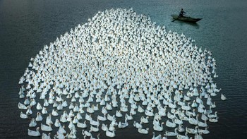 Finalis terpuji Open Competition kategori Culture - Weiguo Hu dari China.. Foto: Sony World Photography Award
