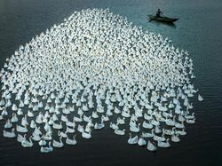 Bangga! Karya Fotografer Indonesia Jadi Finalis Kontes Dunia