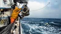 Inilah aksi saat nelayan melempar crab pots, sebuah kurungan untuk menjaring kepiting. Kalau sedang beruntung, hanya butuh 3 hari untuk memenuhi kapal dengan hasil tangkapan kepiting raja Alaska. Foto: Corey Arnold