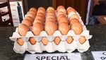 Foto: Bikin Bingung Pakar! Ada Telur Berisi Telur di Australia
