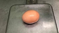 Saat ditimbang, telur raksasa ini mencapai berat 176 gram. Foto: Facebook/Stockmans Eggs
