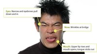 Jawabannya adalah jijik. Ketika kita merasa jijik otot di dekat hidung mengencang dan mata menyipit. Mulut terbuka dengan lidah mungkin keluar. (Foto: greatergood.berkeley.edu)