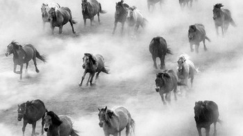 Finalis terpuji Open Competition kategori Travel - Elyana Dasuki dari Indonesia. Foto: Sony World Photography Award