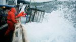Ketika Nelayan Mempertaruhkan Nyawa Demi Mencari Kepiting Raja Alaska