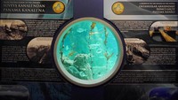 Istanbul Aquarium memiliki sekitar 17 tema berbeda di dalamnya dan 1 area yang dibuat seperti kawasan hutan hujan (Kurnia/detikTravel)