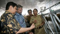 Menteri Perindustrian Airlangga Hartanto juga mengecek pakan sapi perah.