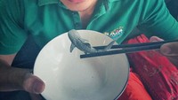 Adik Nadine Chandrawinata ini juga peduli lingkungan lho. Lewat foto ini Marcel mengajak orang-orang untuk tidak makan ikan hiu. Foto: Instagram marcelchandra