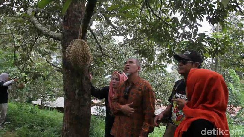 98 Koleksi Hantu Di Pohon Durian Gratis