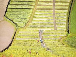 Keren Abis! Ketika Bumi Menjadi Bidang Lengkung