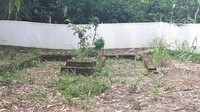 Ketua RT 01 RW 01 Cisereh, Madrohim menyebut ada 5 makam yang dianggap keramat. Dia juga menjadi ahli waris makam tersebut. Madrohim mengatakan makam itu sudah dianggap keramat sejak dulu oleh para kakek hingga buyutnya. Sebab, ada makam leluhur kampung