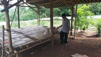 Ada 5 makam sesepuh. Buyut Tunggal, Ratu Siti Aisyah, Muhammad Firdaus, Abah Manahong, Haniyatul Firdaus, ungkap Madrohim.